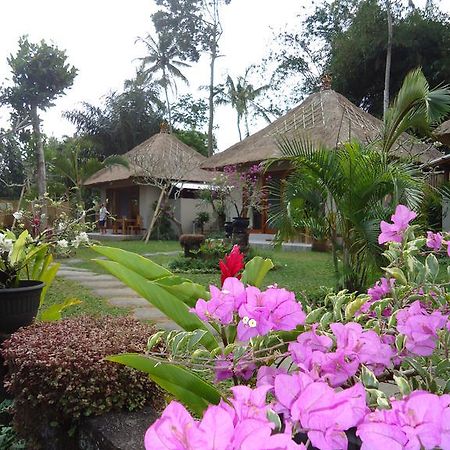 Suka'S House Bed & Breakfast Ubud  Bagian luar foto