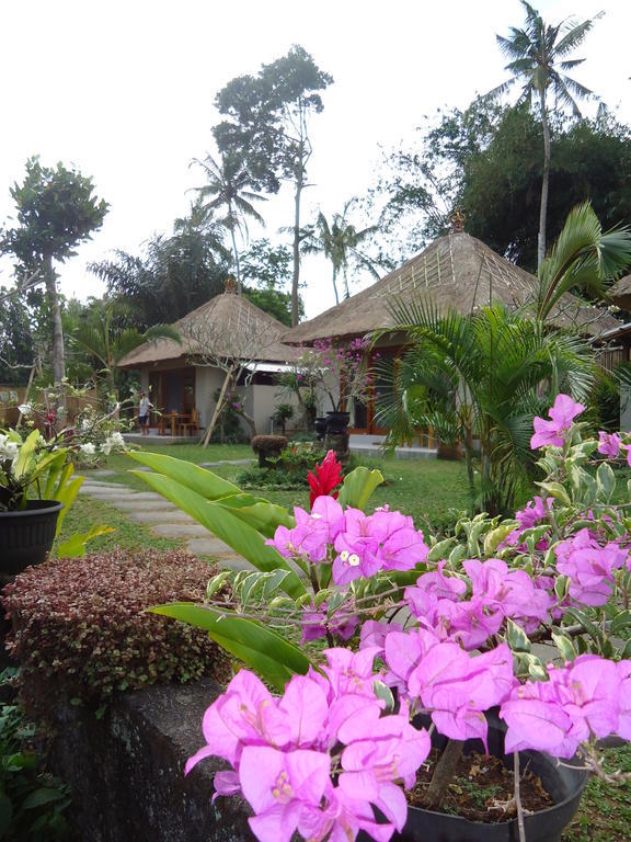 Suka'S House Bed & Breakfast Ubud  Bagian luar foto